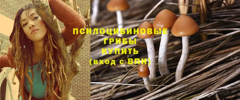 Псилоцибиновые грибы MAGIC MUSHROOMS  Исилькуль 